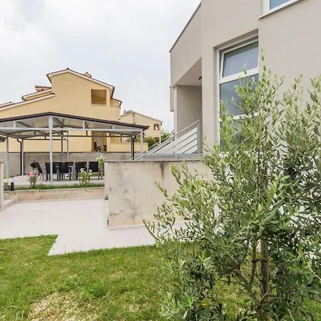 In With Swimming Pool *