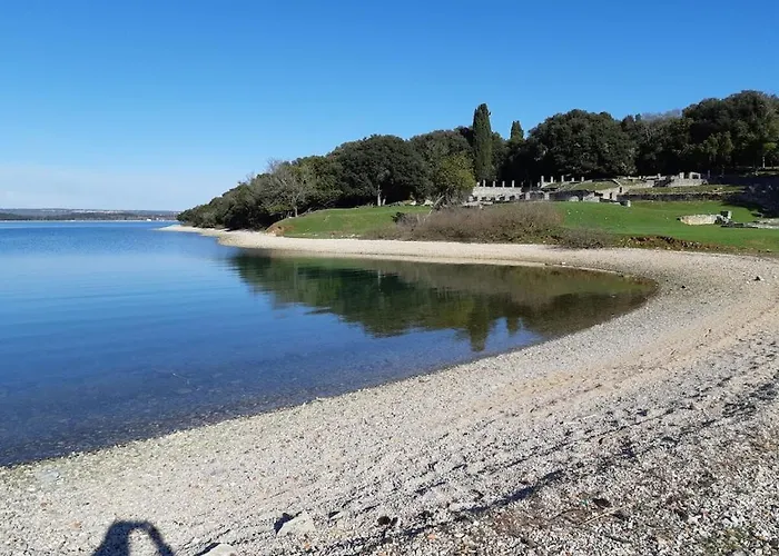 In With Swimming Pool *