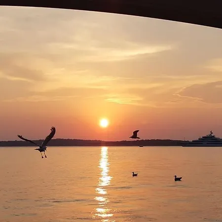In Pula With Swimming Pool Štinjan
