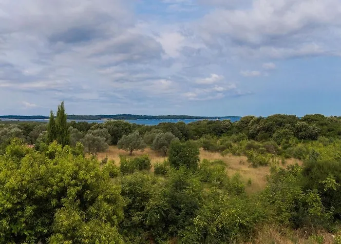 Будинок відпочинку In With Swimming Pool *