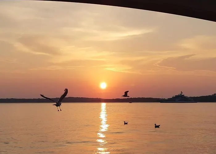 In With Swimming Pool Пула